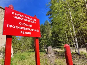 Минлесхоз напоминает нижегородцам о соблюдении правил пожарной безопасности в лесах в преддверии выходных