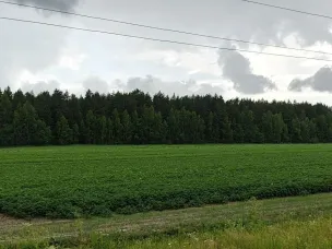 Посевная кампания в Нижегородской области завершена