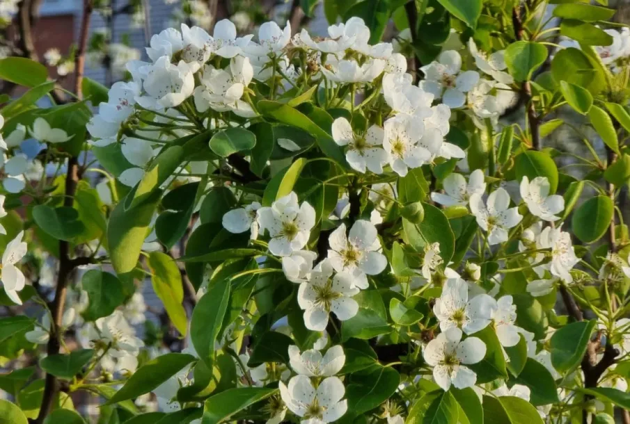 Аллергия: секреты профилактики и лечение